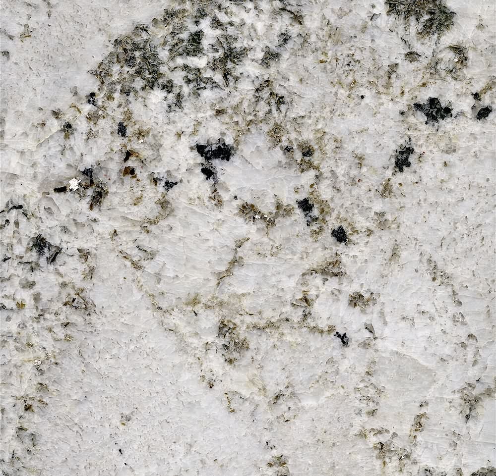 bianco antico classic 印度雪山银狐